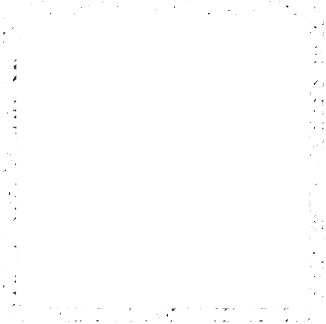 Park's Acupuncture